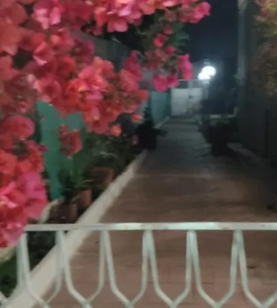 Garden Da Virna Bed & Breakfast