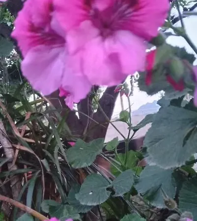 Bed & Breakfast Garden Da Virna 4*