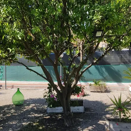 Garden Da Virna Torre Annunziata